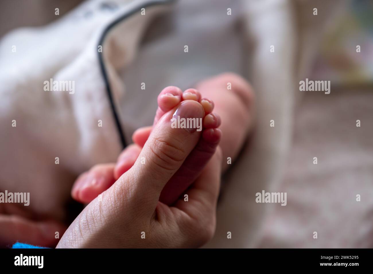 taille du pied de bébé par rapport à son orteil de mère Banque D'Images