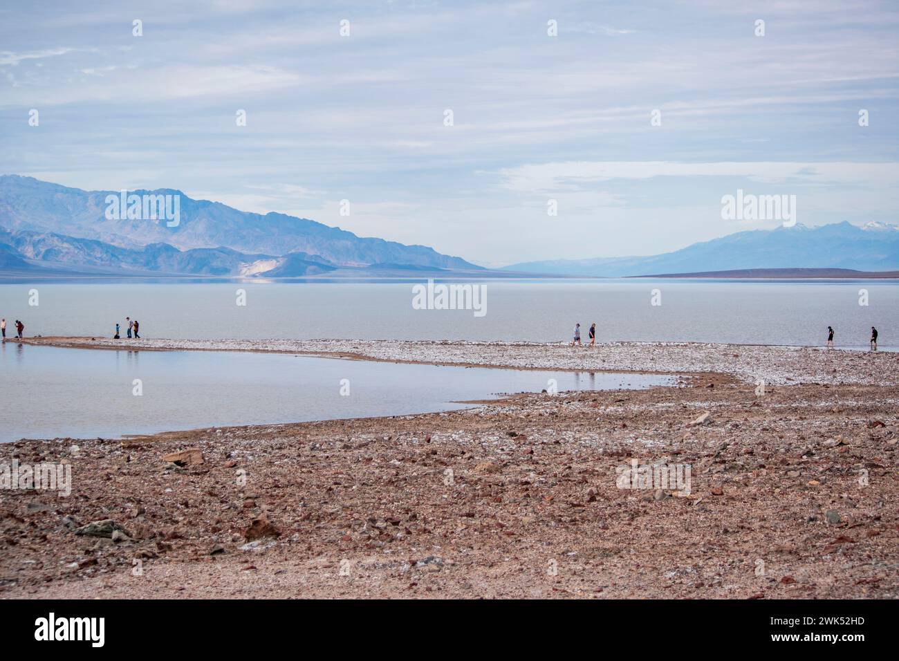 Le lac Manly n'apparaît pas souvent dans le bassin de Badwater dans le parc national de la Vallée de la mort, et est maintenant une destination touristique populaire. Banque D'Images