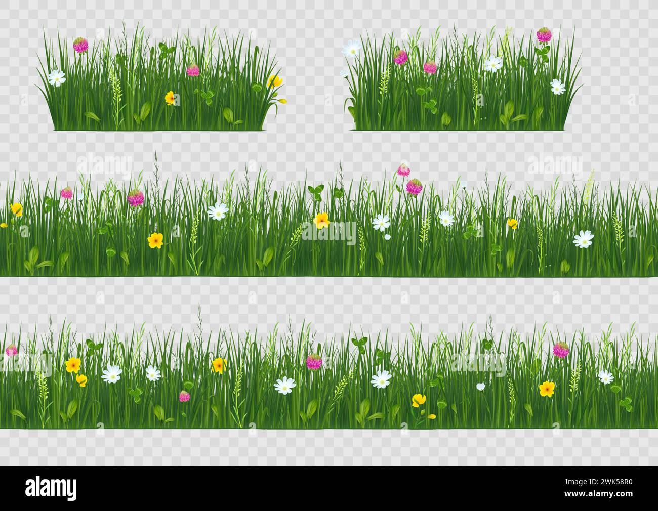 Fleurs printanières. jardin d'herbe 3d ou champ de prairie avec des plantes et prairie verte, fleurs sauvages de trèfle. Éléments botaniques réalistes, bordure à base de plantes, fond de conception. Paysage transparent vectoriel Illustration de Vecteur