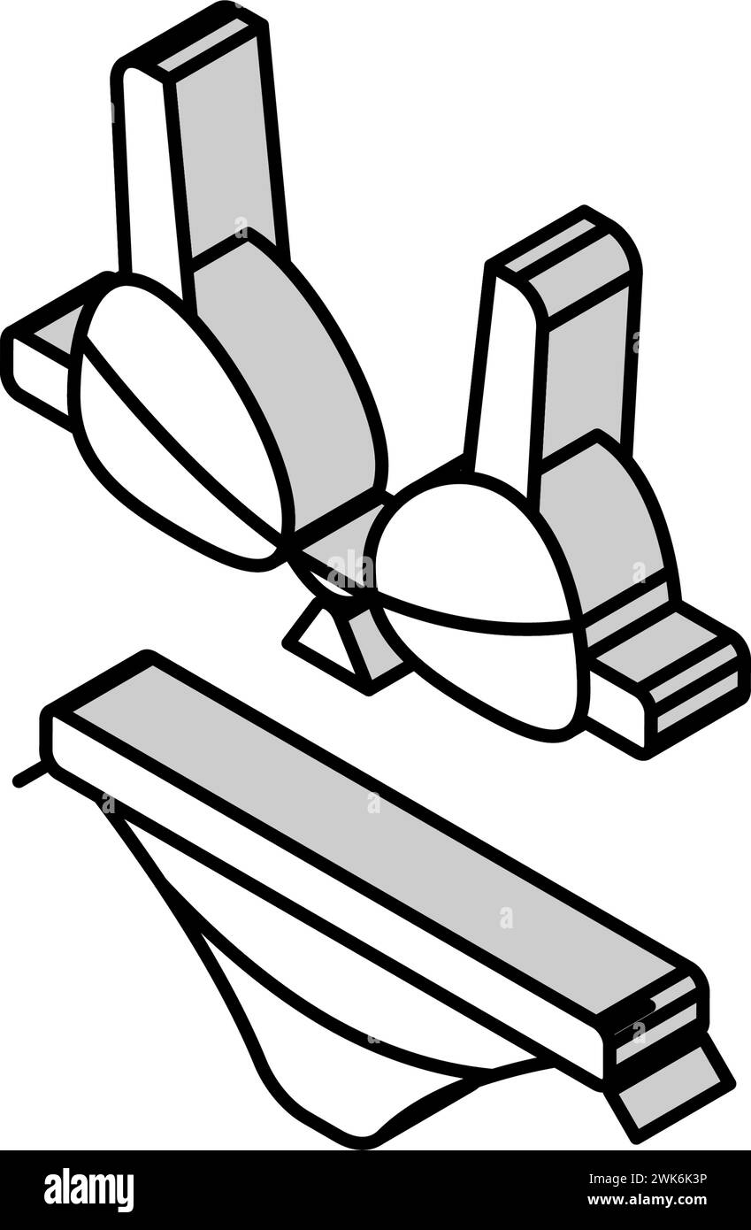 maillot de bain bikini illustration vectorielle d'icône isométrique Illustration de Vecteur