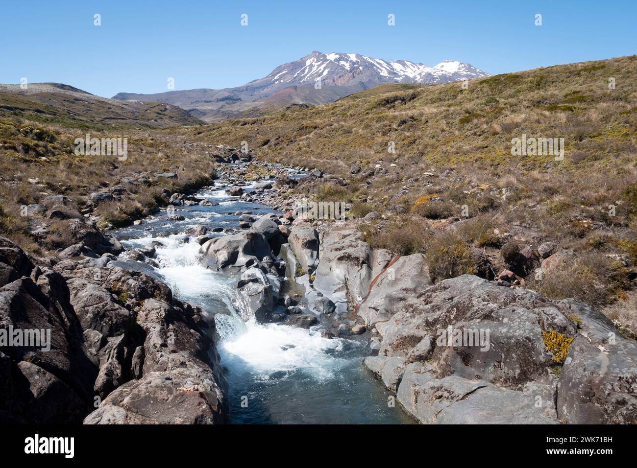Ruisseau Wairere, Mont Ruapehu, parc national de Tongariro, Île du Nord, Nouvelle-Zélande Banque D'Images