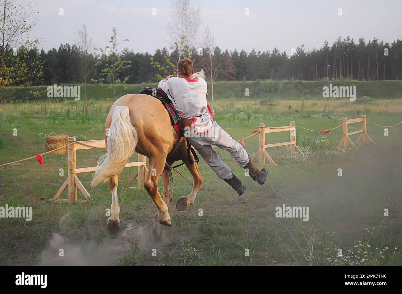9,699 Photos de Cheval équitation Saut - Dreamstime