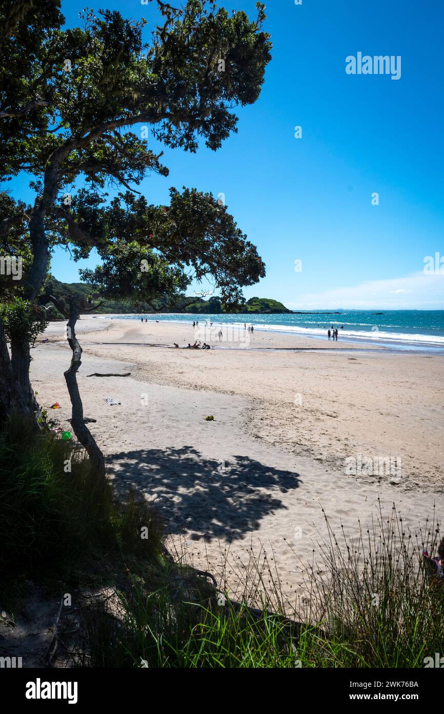 Coopers Beach, Doubtless Bay, Northland, Île du Nord, Nouvelle-Zélande Banque D'Images