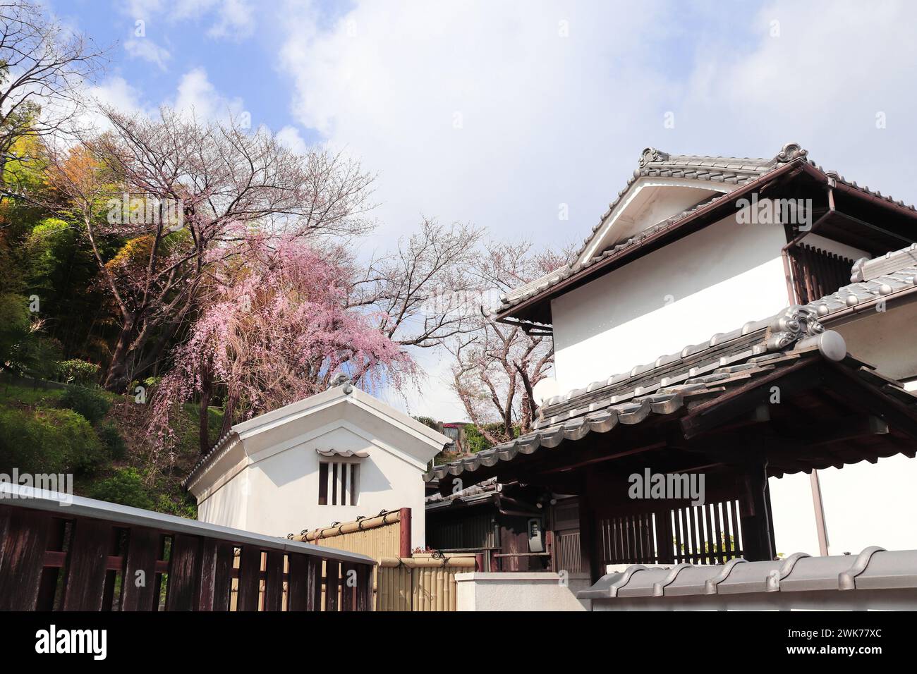 Vieilles maisons et fleurs de sakura, ville de Kurashiki, Japon. Fête traditionnelle japonaise du hanami. Saison de floraison printanière des cerises en Asie Banque D'Images
