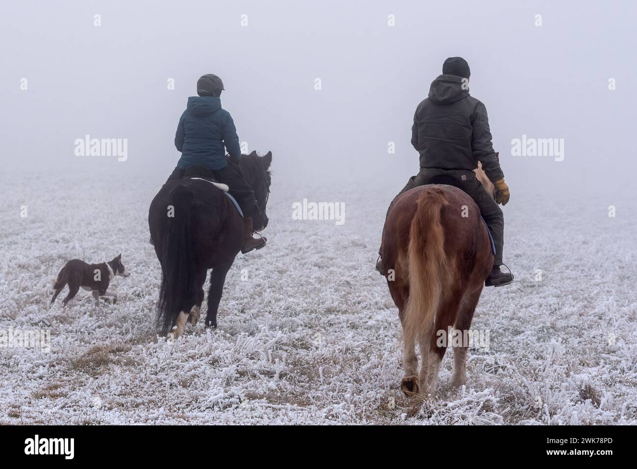 Couple à cheval par une journée d'hiver brumeuse dans la vallée de Wallowa, en Oregon. Banque D'Images