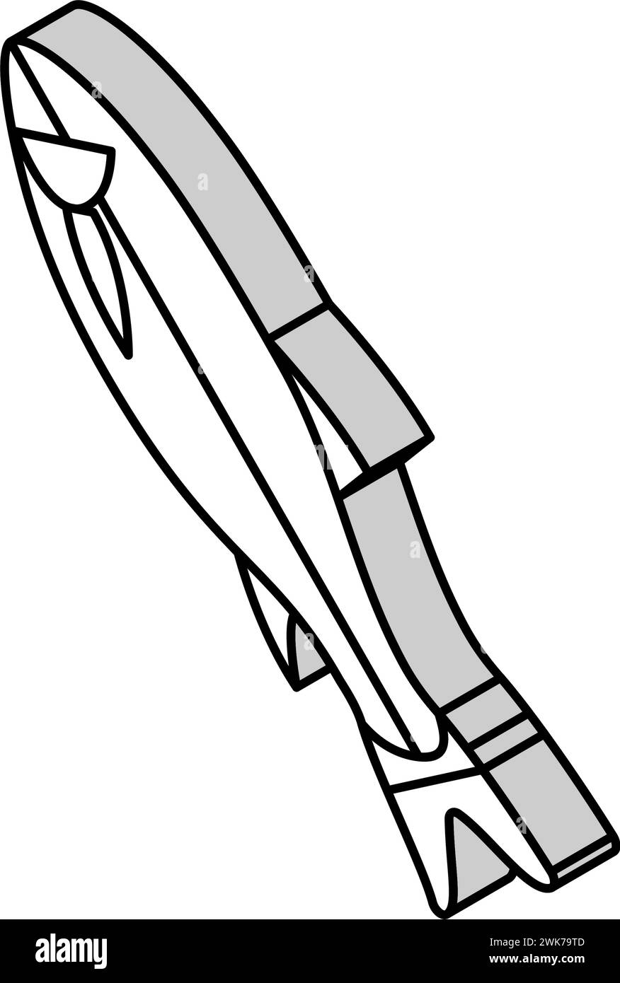 illustration vectorielle d'icône isométrique de poisson rohu Illustration de Vecteur