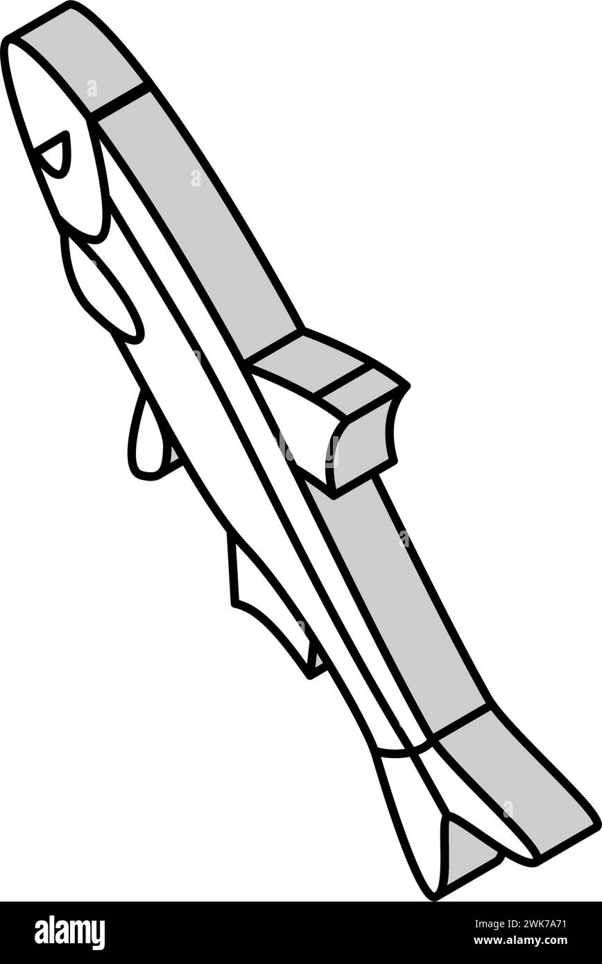 illustration vectorielle d'icône isométrique anchoveta péruvienne Illustration de Vecteur