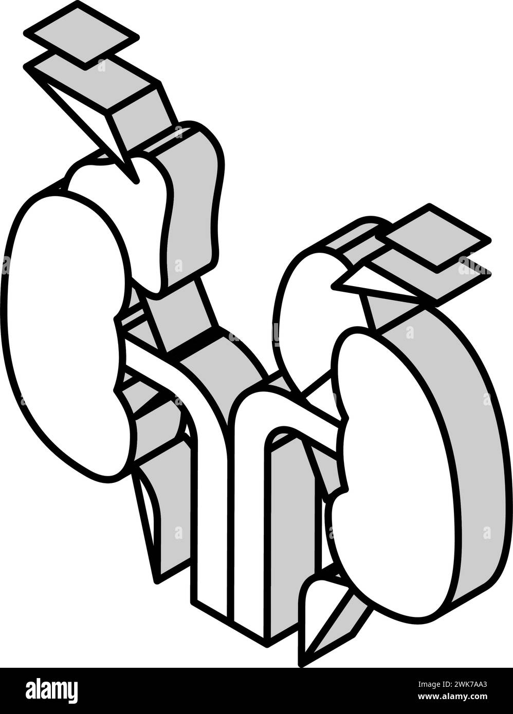 illustration vectorielle d'icône isométrique d'endocrinologie surrénales Illustration de Vecteur