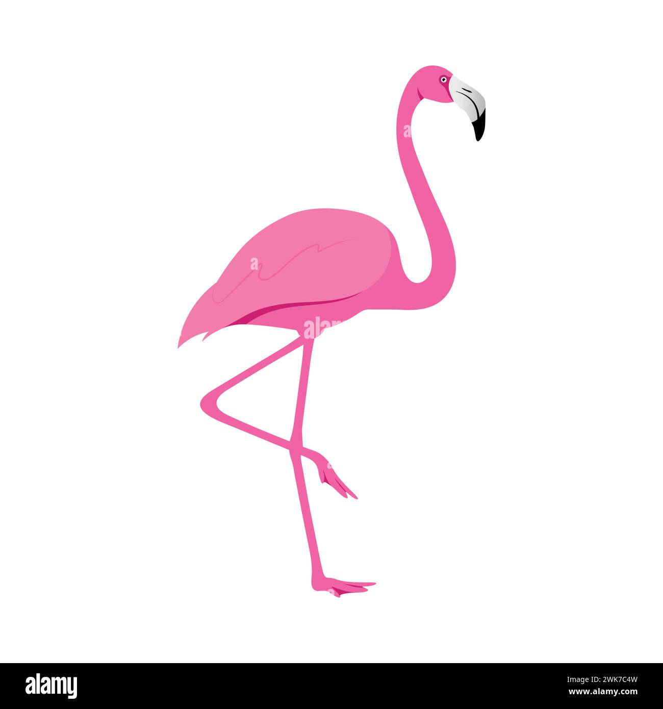 Vecteur d'illustration d'oiseaux de silhouette de flamant rose Illustration de Vecteur
