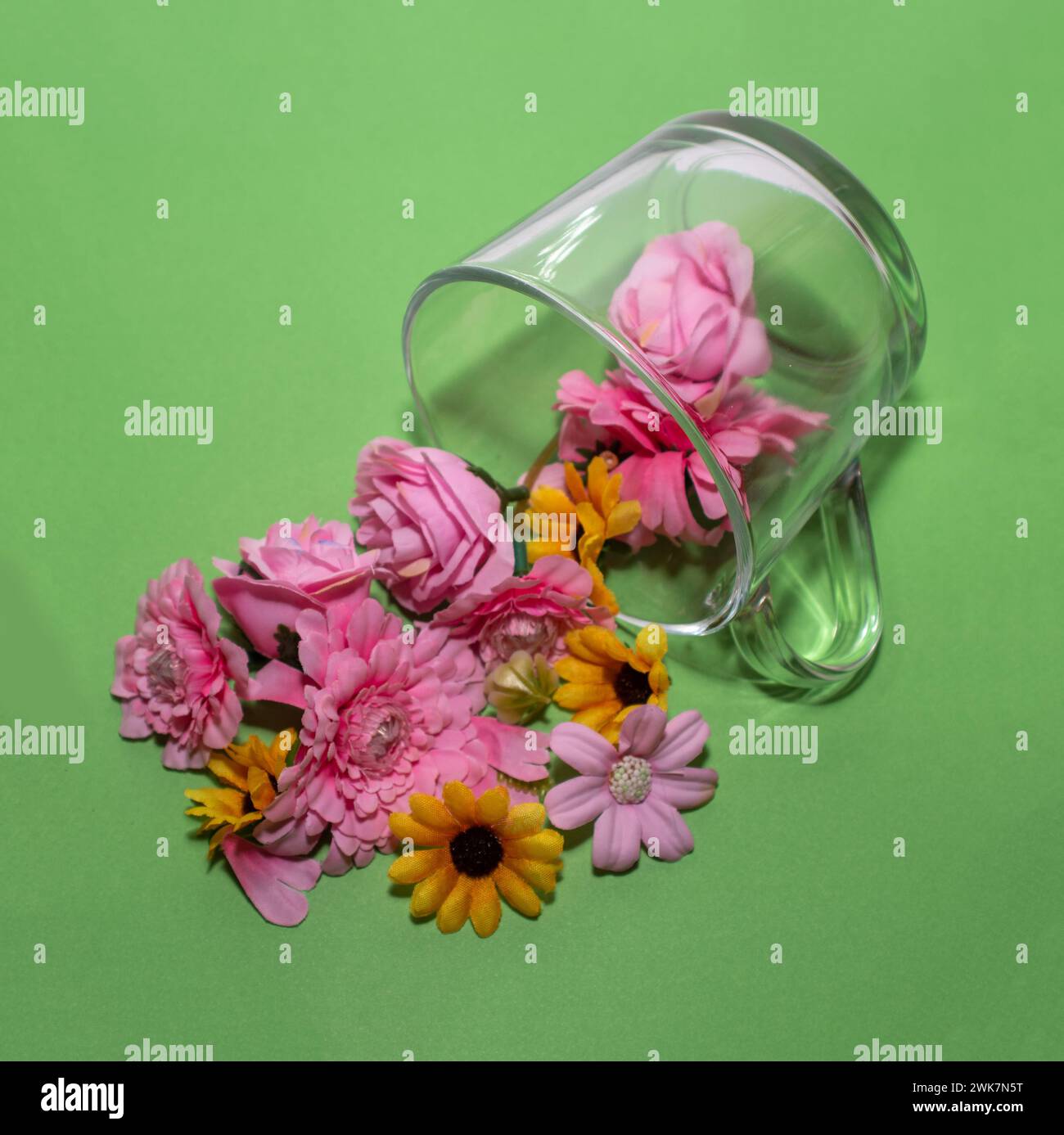 des fleurs sortent d'un verre. Photographie conceptuelle en studio. Design créatif. Banque D'Images