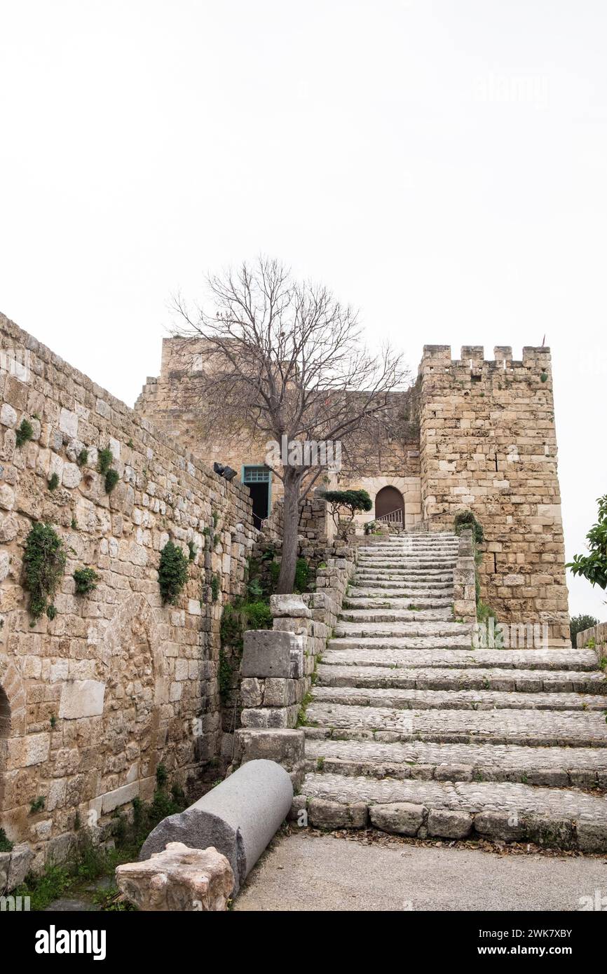Liban, Jebeil, Byblos, entrée de l'ancien croiseur du XIIe siècle Château de Byblos construit à partir de calcaire dans le complexe d'antiquités de Byblos Banque D'Images