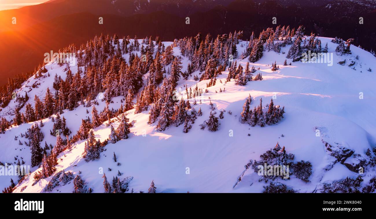 Une montagne enneigée avec des arbres au coucher du soleil Banque D'Images