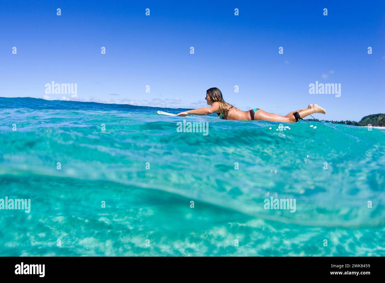 Vue sur l'eau de la femme surfeuse à Hawaï Banque D'Images