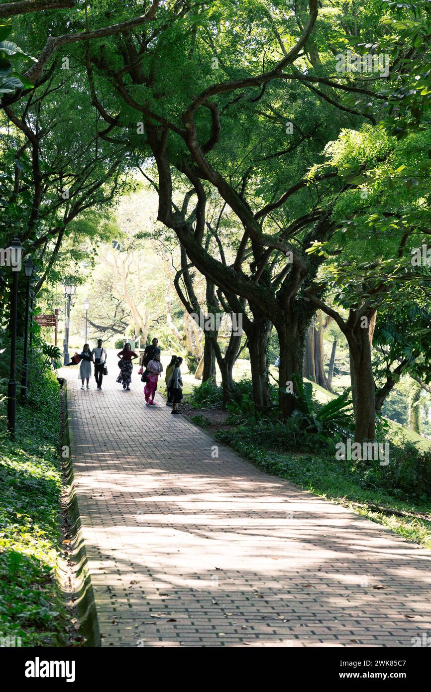 Visiteurs marchant sur un sentier ombragé, au parc Fort Canning Banque D'Images
