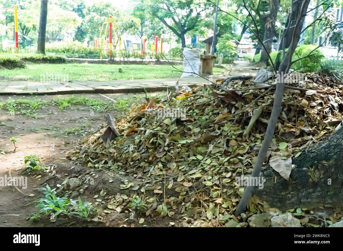 L'herbe déchiquetée et les feuilles sèches qui tombent des arbres sont utilisées pour pailler les lits. Les feuilles tombées sont empilées pour devenir du compost. Banque D'Images