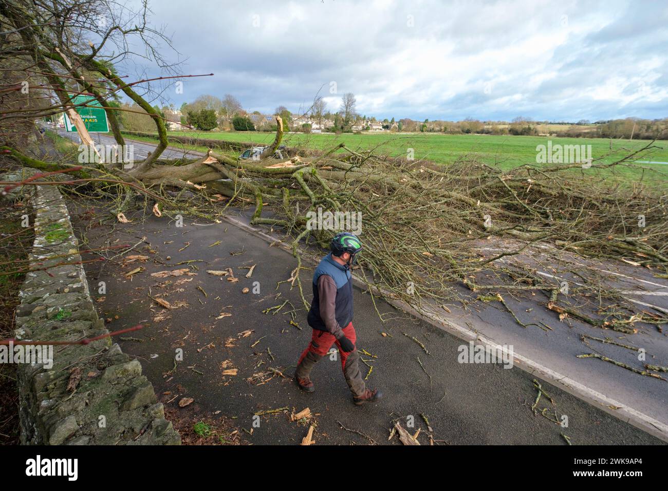 L'A417 (A435) à Cirencester complètement bloqué acheter un arbre tombé abattu dans les vents forts de la tempête Pia. Une petite voiture de Vauxhall a été prise sous les branches extérieures de l'arbre , les occupants seraient OK. Banque D'Images