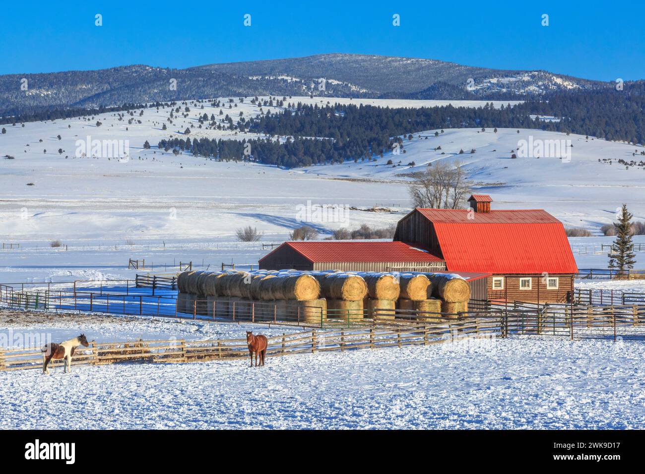 chevaux et une grange en rondins au toit rouge dans la vallée du ruisseau de raquettes en hiver près d'avon, montana Banque D'Images