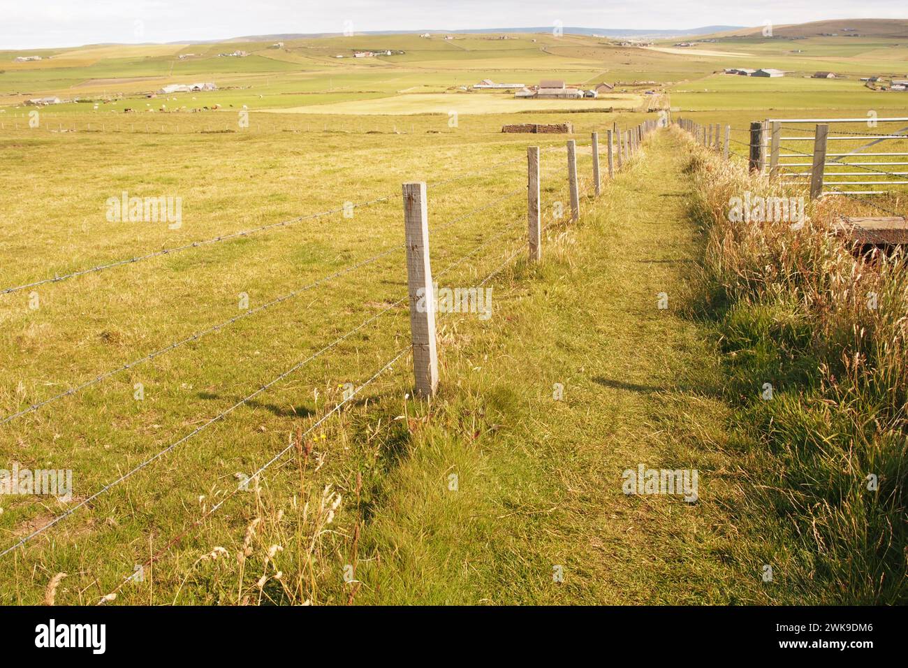 Vue sur le sentier de Marwick Head à Brockan, à travers des fermes et des terres agricoles, Orcades, Écosse Royaume-Uni Banque D'Images