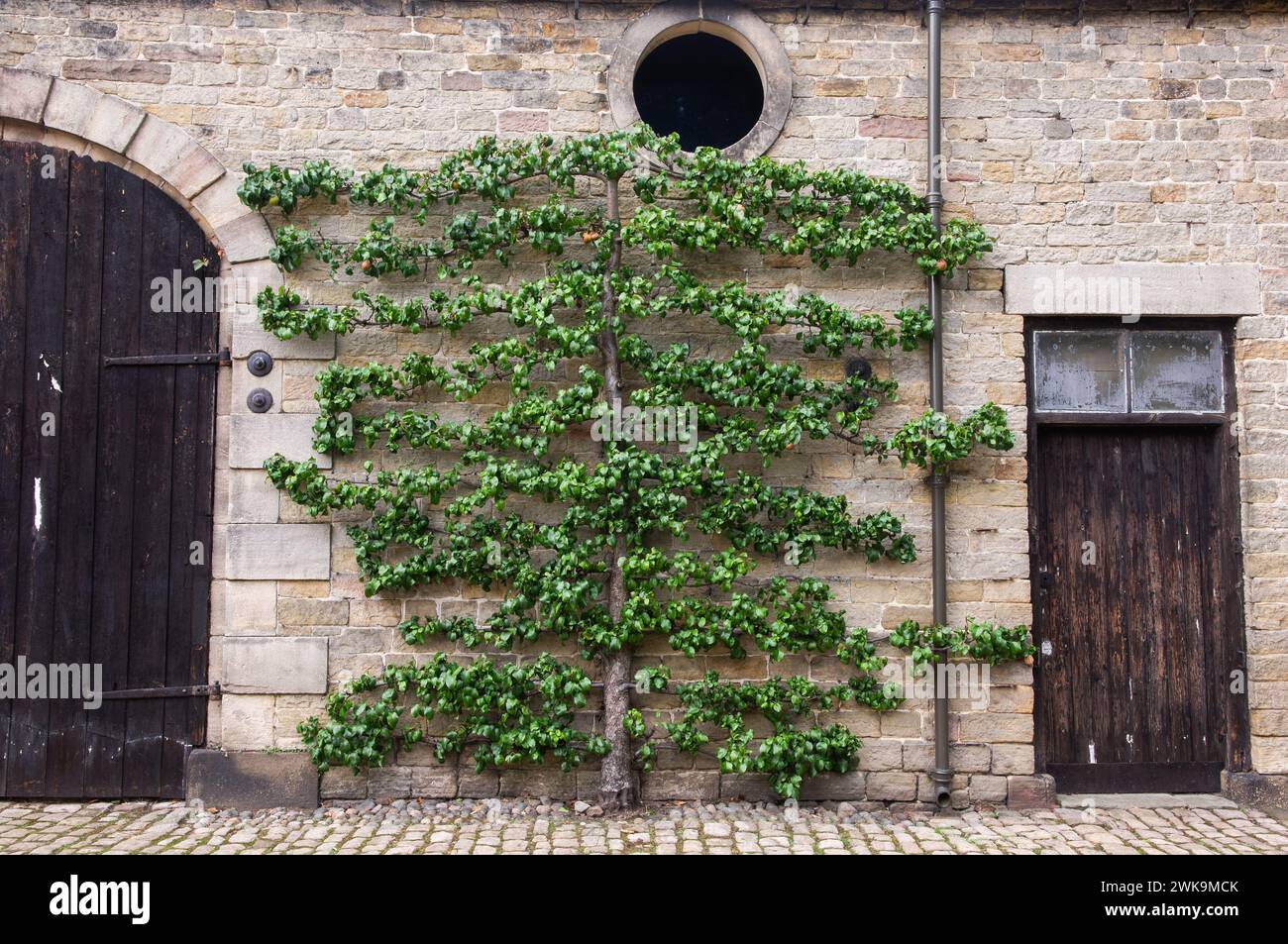 Rufford Old Hall, Rufford, Lancashire, Angleterre, Royaume-Uni Banque D'Images