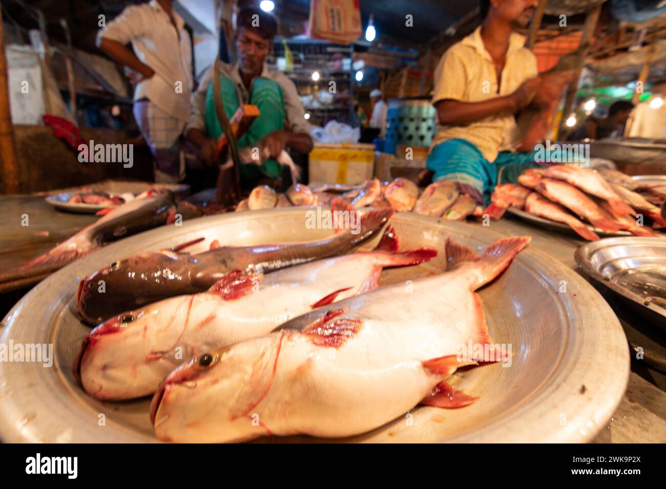 Dhaka, Dhaka, Bangladesh. 19 février 2024. Les vendeurs de poisson vendent des poissons sur un marché de poisson nocturne à Dhaka, au Bangladesh. À Dacca, les gens sont occupés pendant la journée. Donc, ils vont faire du shopping la nuit après l'heure de bureau. Acheteurs et vendeurs marchandent pour obtenir le meilleur prix. (Crédit image : © Joy Saha/ZUMA Press Wire) USAGE ÉDITORIAL SEULEMENT! Non destiné à UN USAGE commercial ! Crédit : ZUMA Press, Inc/Alamy Live News Banque D'Images