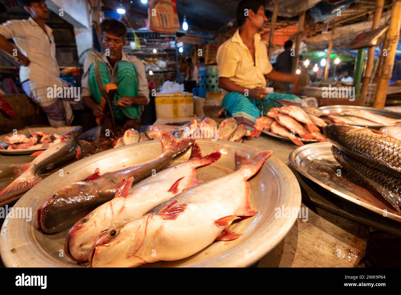 Dhaka, Dhaka, Bangladesh. 19 février 2024. Les vendeurs de poisson vendent des poissons sur un marché de poisson nocturne à Dhaka, au Bangladesh. À Dacca, les gens sont occupés pendant la journée. Donc, ils vont faire du shopping la nuit après l'heure de bureau. Acheteurs et vendeurs marchandent pour obtenir le meilleur prix. (Crédit image : © Joy Saha/ZUMA Press Wire) USAGE ÉDITORIAL SEULEMENT! Non destiné à UN USAGE commercial ! Crédit : ZUMA Press, Inc/Alamy Live News Banque D'Images