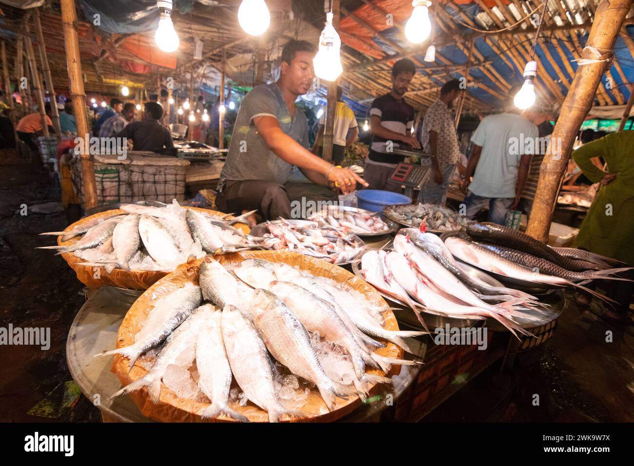 Dhaka, Dhaka, Bangladesh. 19 février 2024. Les vendeurs de poisson vendent des poissons sur un marché de poisson nocturne à Dhaka, au Bangladesh. À Dacca, les gens sont occupés pendant la journée. Donc, ils vont faire du shopping la nuit après l'heure de bureau. Acheteurs et vendeurs marchandent pour obtenir le meilleur prix. (Crédit image : © Joy Saha/ZUMA Press Wire) USAGE ÉDITORIAL SEULEMENT! Non destiné à UN USAGE commercial ! Crédit : ZUMA Press, Inc/Alamy Live News Banque D'Images