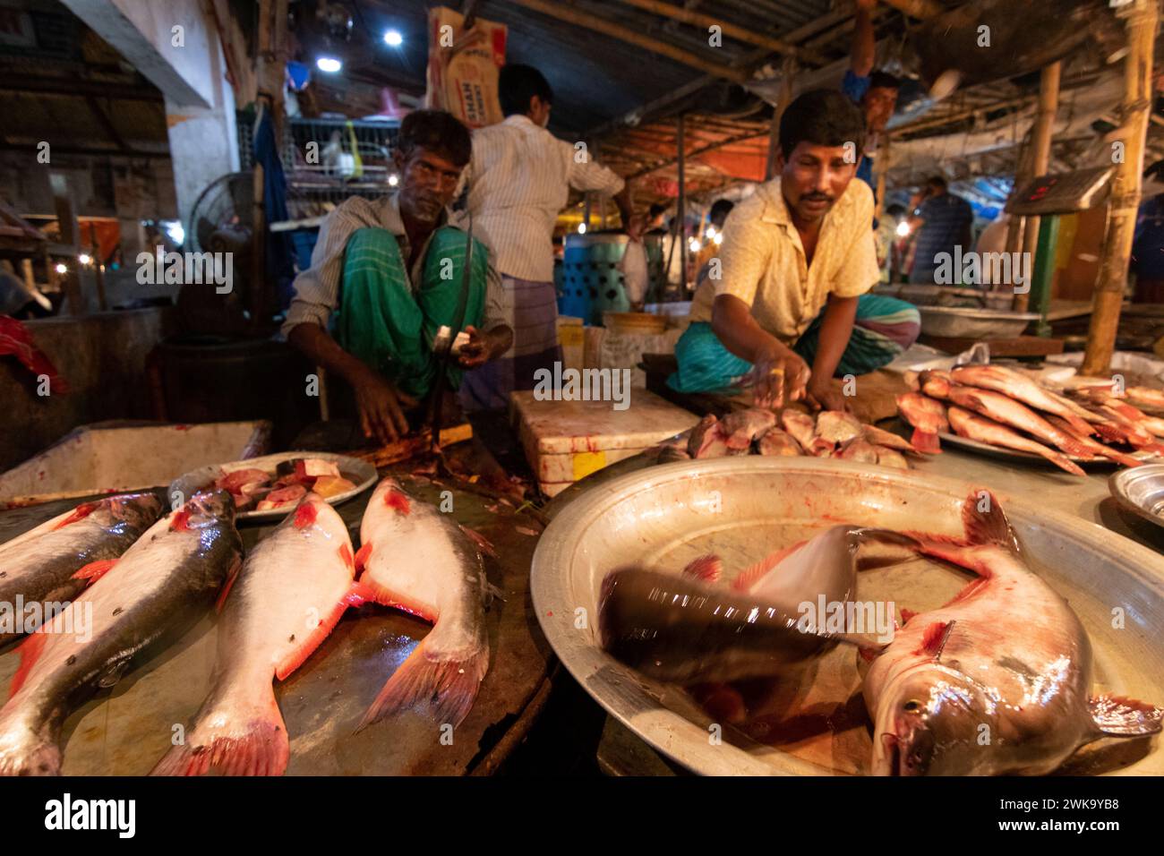 Dhaka, Dhaka, Bangladesh. 19 février 2024. Les vendeurs de poisson vendent des poissons sur un marché de poisson nocturne à Dhaka, au Bangladesh. À Dacca, les gens sont occupés pendant la journée. Donc, ils vont faire du shopping la nuit après l'heure de bureau. Acheteurs et vendeurs marchandent pour obtenir le meilleur prix. (Crédit image : © Joy Saha/ZUMA Press Wire) USAGE ÉDITORIAL SEULEMENT! Non destiné à UN USAGE commercial ! Crédit : ZUMA Press, Inc/Alamy Live News Banque D'Images