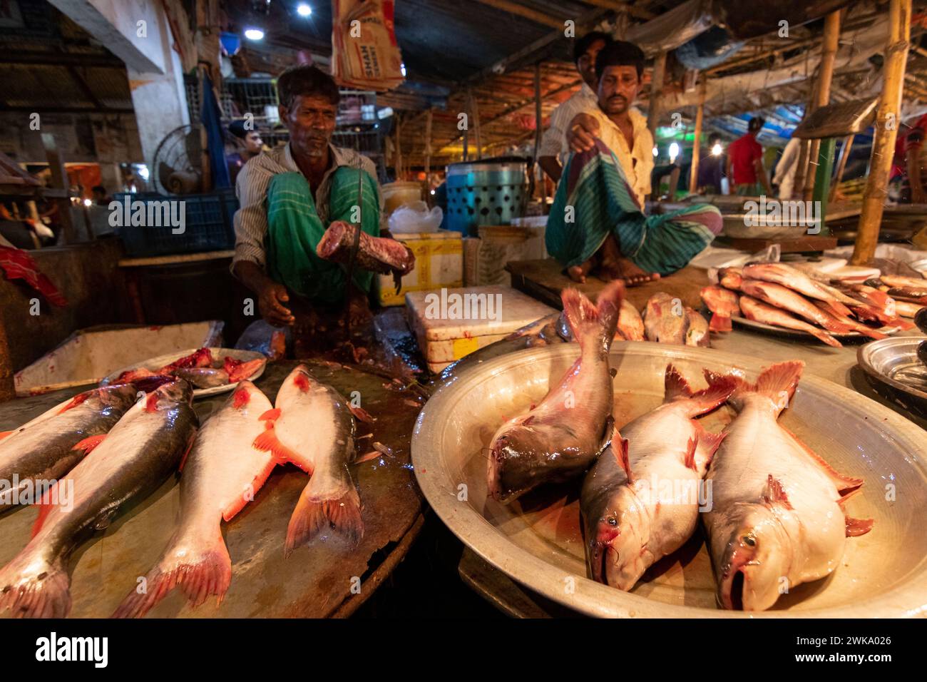 Dhaka, Dhaka, Bangladesh. 19 février 2024. Les vendeurs de poisson vendent des poissons sur un marché de poisson nocturne à Dhaka, au Bangladesh. À Dacca, les gens sont occupés pendant la journée. Donc, ils vont faire du shopping la nuit après l'heure de bureau. Acheteurs et vendeurs marchandent pour obtenir le meilleur prix. (Crédit image : © Joy Saha/ZUMA Press Wire) USAGE ÉDITORIAL SEULEMENT! Non destiné à UN USAGE commercial ! Crédit : ZUMA Press, Inc/Alamy Live News Banque D'Images