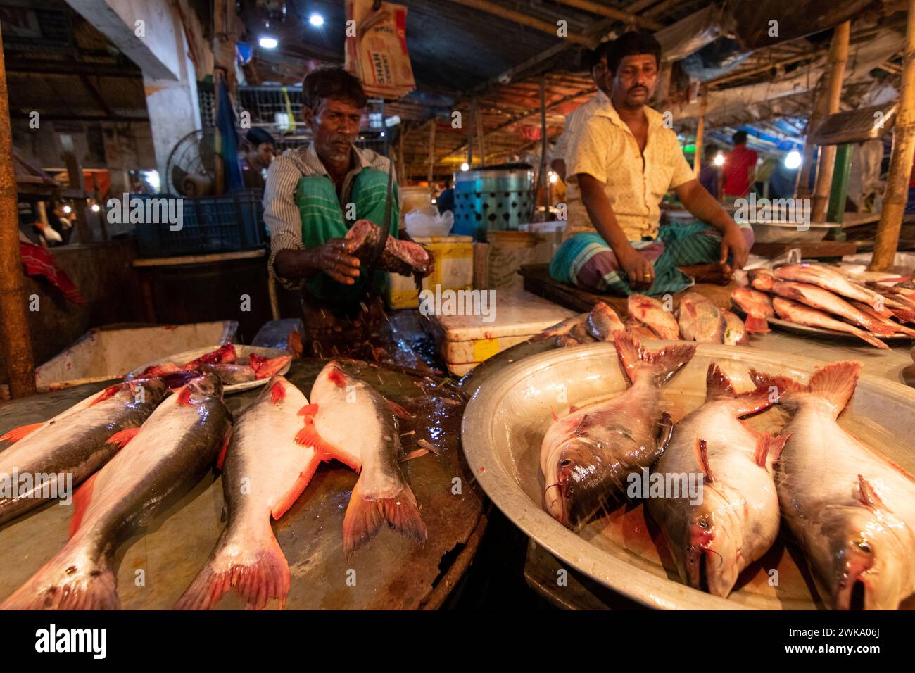 Dhaka, Dhaka, Bangladesh. 19 février 2024. Les vendeurs de poisson vendent des poissons sur un marché de poisson nocturne à Dhaka, au Bangladesh. À Dacca, les gens sont occupés pendant la journée. Donc, ils vont faire du shopping la nuit après l'heure de bureau. Acheteurs et vendeurs marchandent pour obtenir le meilleur prix. (Crédit image : © Joy Saha/ZUMA Press Wire) USAGE ÉDITORIAL SEULEMENT! Non destiné à UN USAGE commercial ! Crédit : ZUMA Press, Inc/Alamy Live News Banque D'Images