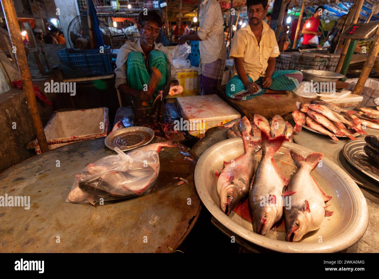 Dhaka, Dhaka, Bangladesh. 19 février 2024. Les vendeurs de poisson vendent des poissons sur un marché de poisson nocturne à Dhaka, au Bangladesh. À Dacca, les gens sont occupés pendant la journée. Donc, ils vont faire du shopping la nuit après l'heure de bureau. Acheteurs et vendeurs marchandent pour obtenir le meilleur prix. (Crédit image : © Joy Saha/ZUMA Press Wire) USAGE ÉDITORIAL SEULEMENT! Non destiné à UN USAGE commercial ! Crédit : ZUMA Press, Inc/Alamy Live News Banque D'Images