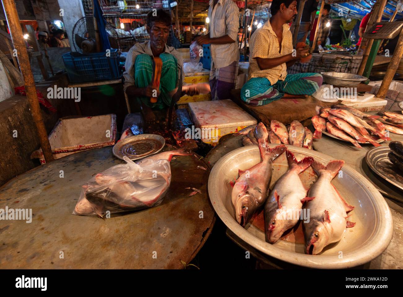 Dhaka, Dhaka, Bangladesh. 19 février 2024. Les vendeurs de poisson vendent des poissons sur un marché de poisson nocturne à Dhaka, au Bangladesh. À Dacca, les gens sont occupés pendant la journée. Donc, ils vont faire du shopping la nuit après l'heure de bureau. Acheteurs et vendeurs marchandent pour obtenir le meilleur prix. (Crédit image : © Joy Saha/ZUMA Press Wire) USAGE ÉDITORIAL SEULEMENT! Non destiné à UN USAGE commercial ! Crédit : ZUMA Press, Inc/Alamy Live News Banque D'Images