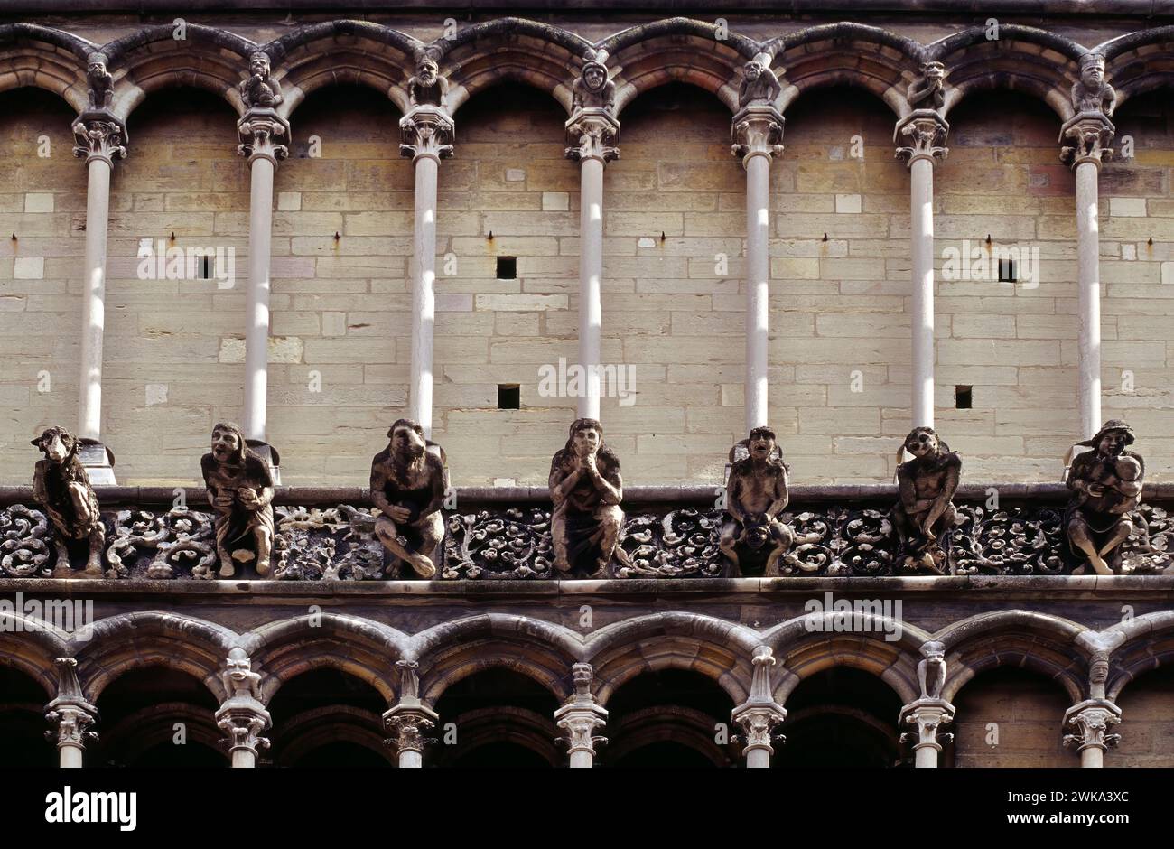 Gargouilles sur la façade de la cathédrale de Dijon, Dijon, département de la Côte-d'Or, Bourgogne, France Banque D'Images