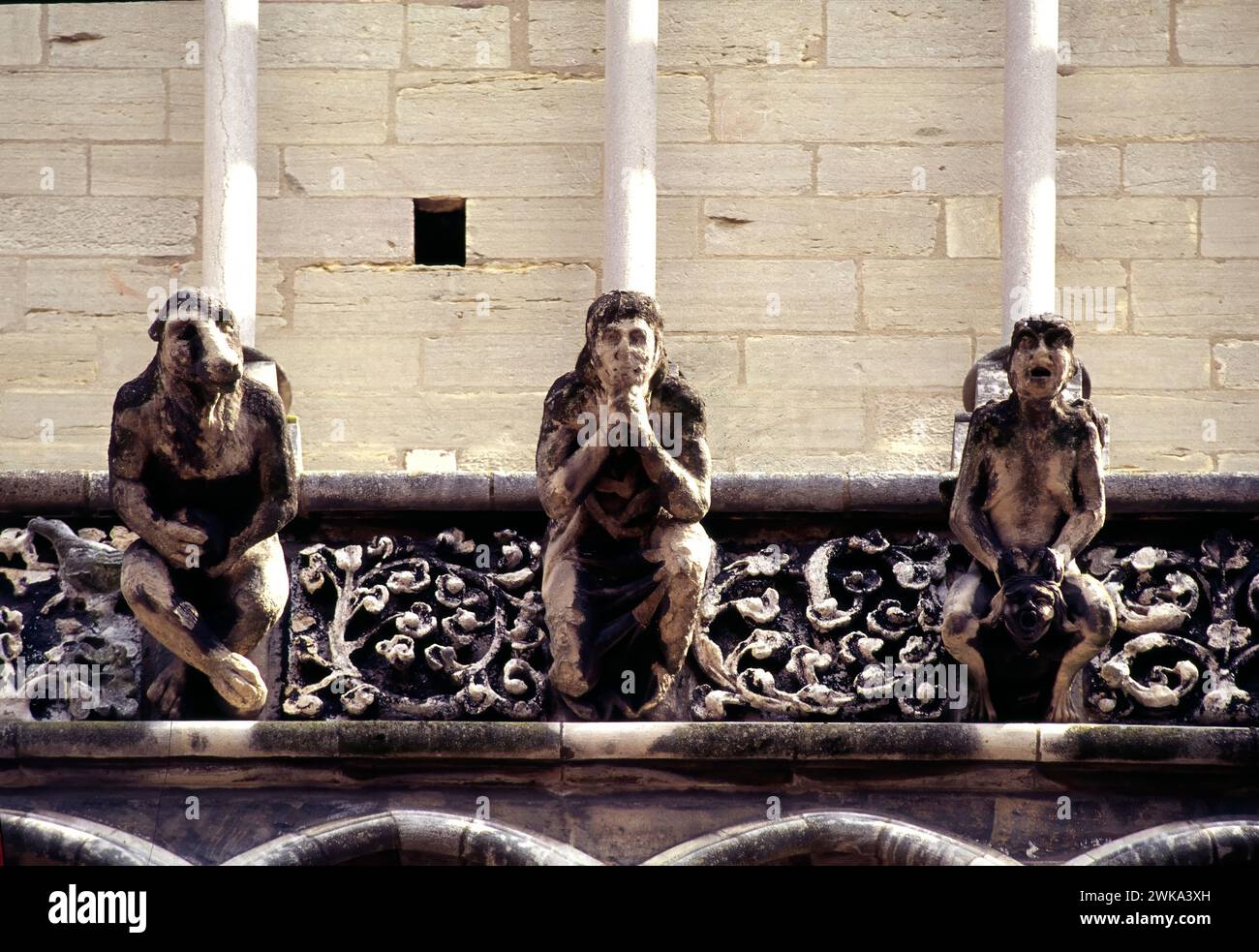 Gargouilles sur la façade de la cathédrale de Dijon, Dijon, département de la Côte-d'Or, Bourgogne, France Banque D'Images
