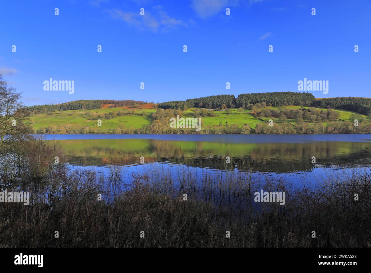 Vue d'automne à travers Gouthwaite Reservoir, Nidderdale ANOB, North Yorkshire, Angleterre. Banque D'Images