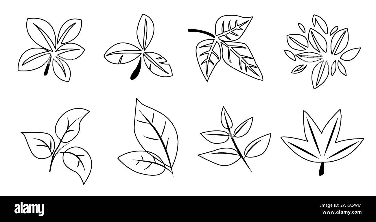 Illustration vectorielle avec une collection de six motifs de feuilles différents en noir et blanc, idéal pour les graphiques sur le thème du printemps Illustration de Vecteur