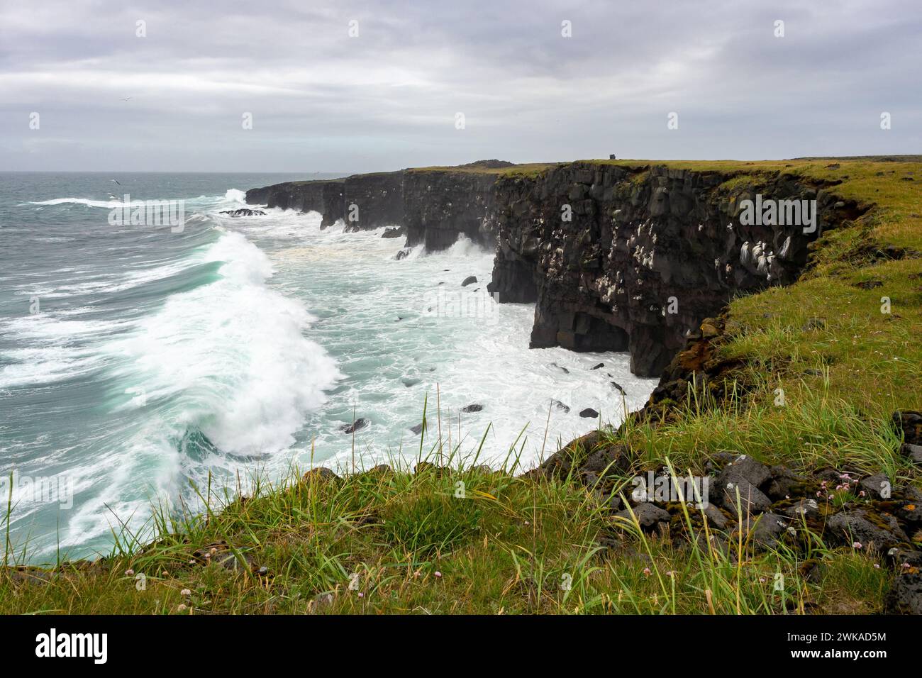 Falaises de Hafnarberg, péninsule de Reykjanes dans le sud de l'Islande Banque D'Images