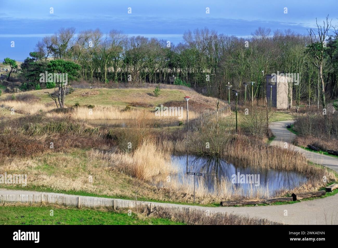 Vue sur le parc naturel de Zwin, sanctuaire d'oiseaux à Knokke-Heist et cachette d'oiseaux pour observer les cigognes blanches à la fin de l'hiver, Flandre occidentale, Belgique Banque D'Images