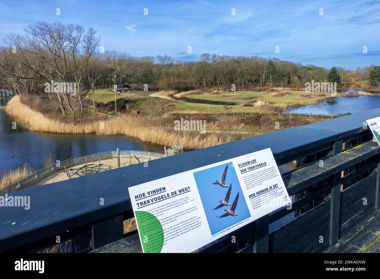 Panneaux d'information et vue depuis la plate-forme panoramique sur le Parc naturel de Zwin , sanctuaire d'oiseaux à Knokke-Heist à la fin de l'hiver, Flandre occidentale, Belgique Banque D'Images