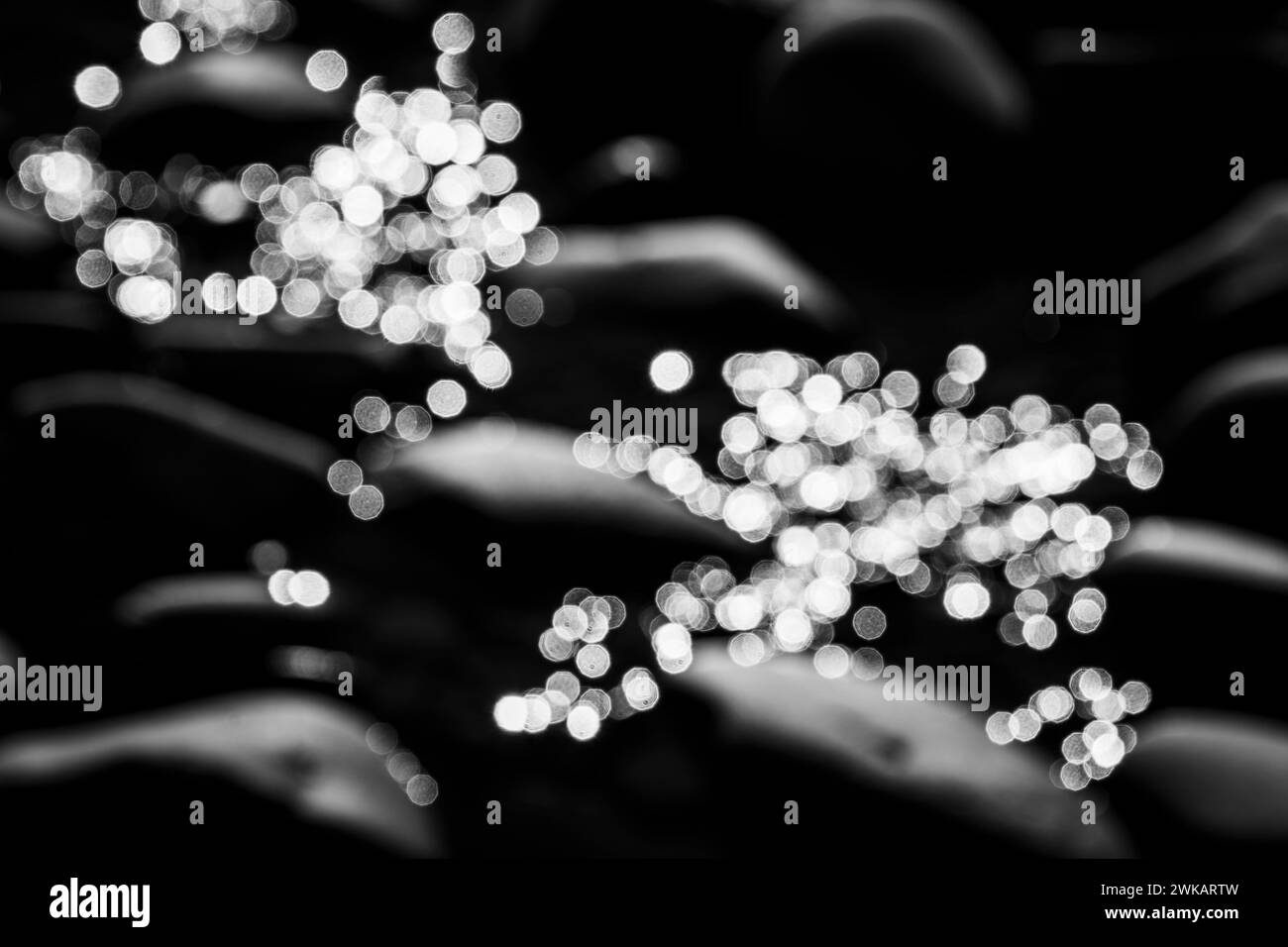 Le rendu flou des reflets de la lumière du soleil sur l'eau produit un effet bokeh spéculaire dans les hautes lumières. Banque D'Images