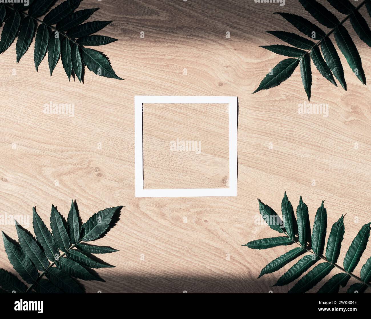 Mise en page avec cadre de papier blanc vierge et feuilles vertes sur fond en bois. Fond naturel créatif avec espace de copie. Banque D'Images