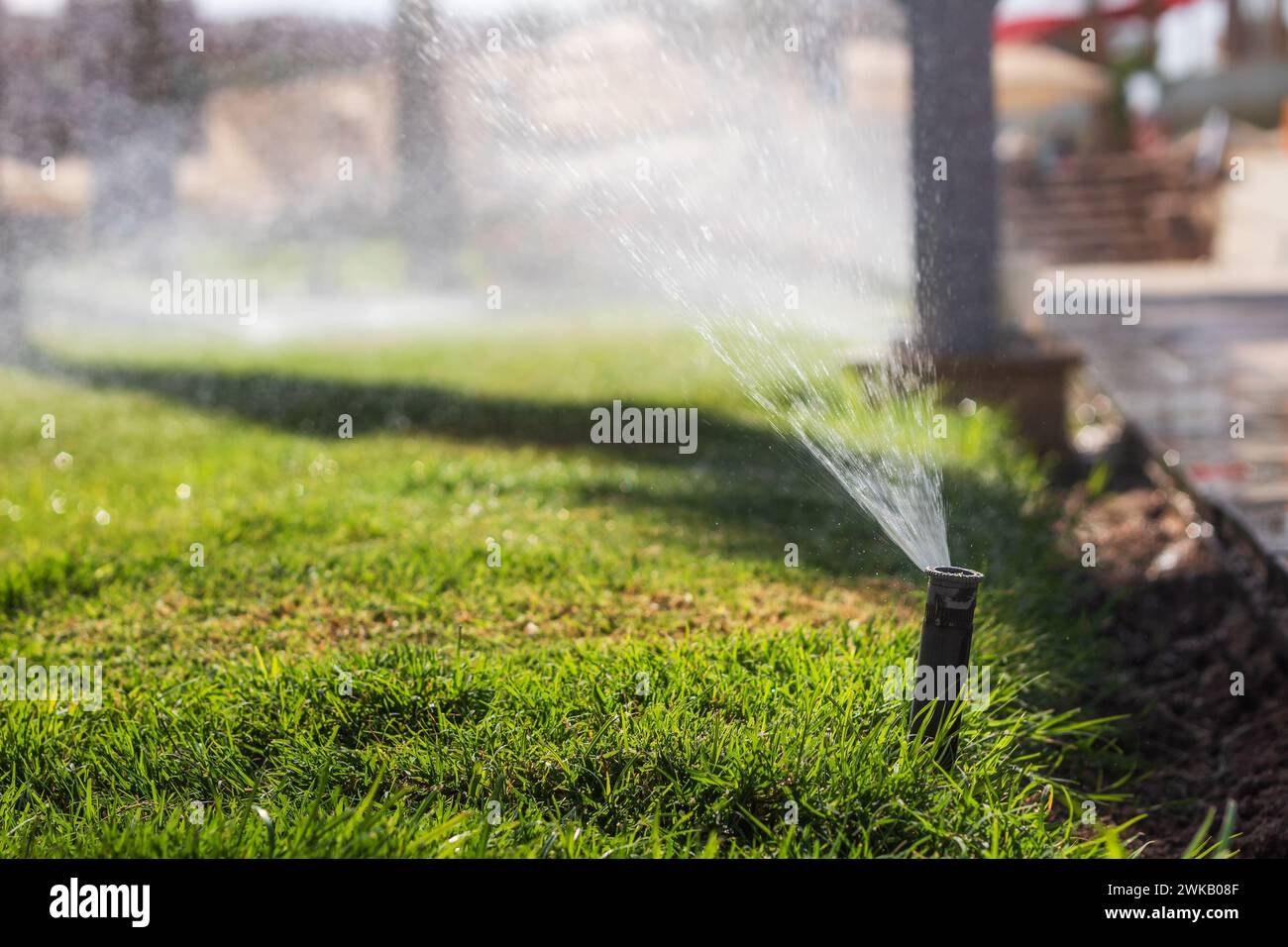 Arroseur arrosant l'herbe sur la pelouse. Système d'irrigation d'eau. Arrosage automatique de pelouse. Banque D'Images