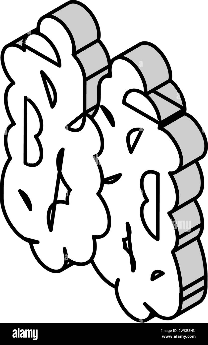 thymus de l'illustration vectorielle isométrique d'icône du système immunitaire Illustration de Vecteur