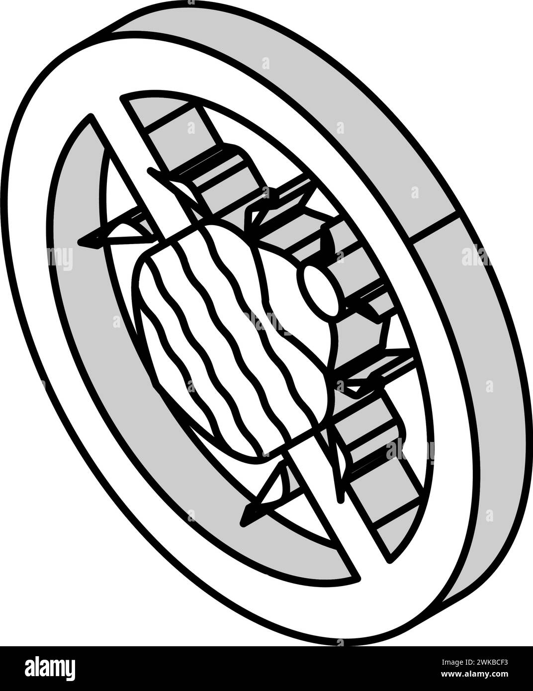 illustration vectorielle d'icône isométrique de traitement de coléoptère de tapis Illustration de Vecteur