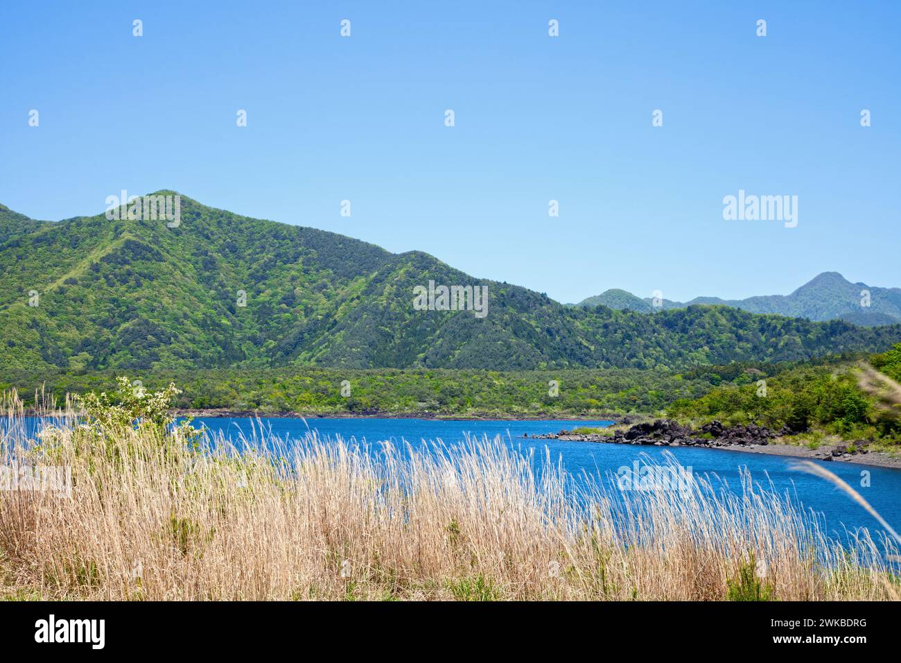 Lac Motosu dans la préfecture de Yamanashi, l'un des cinq lacs Fuji près du mont Fuji au Japon. Banque D'Images