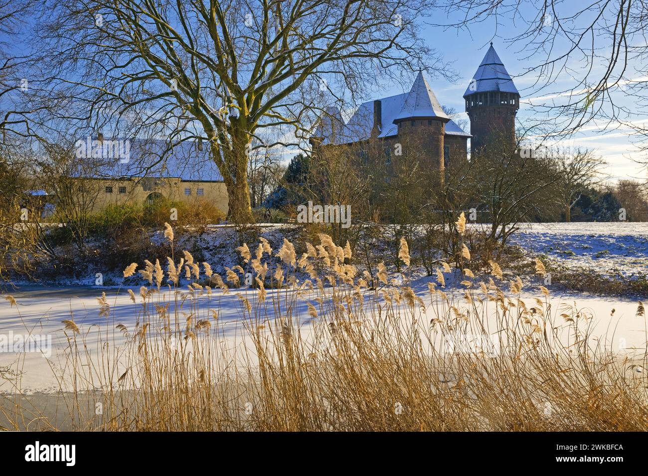 Château de Linn château fossé à Krefeld-Linn en hiver, Allemagne, Rhénanie du Nord-Westphalie, Krefeld Banque D'Images