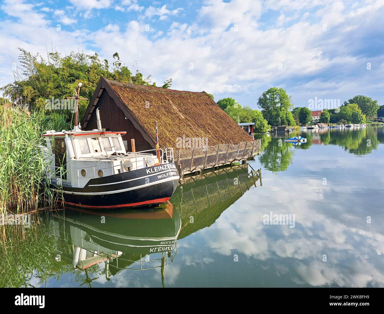 Vieux couteau, amarré dans les roseaux à côté d'un hangar à bateaux dans le lac Schwarzer See, Allemagne, Brandebourg, Flecken Zechlin, Rheinsberg Banque D'Images