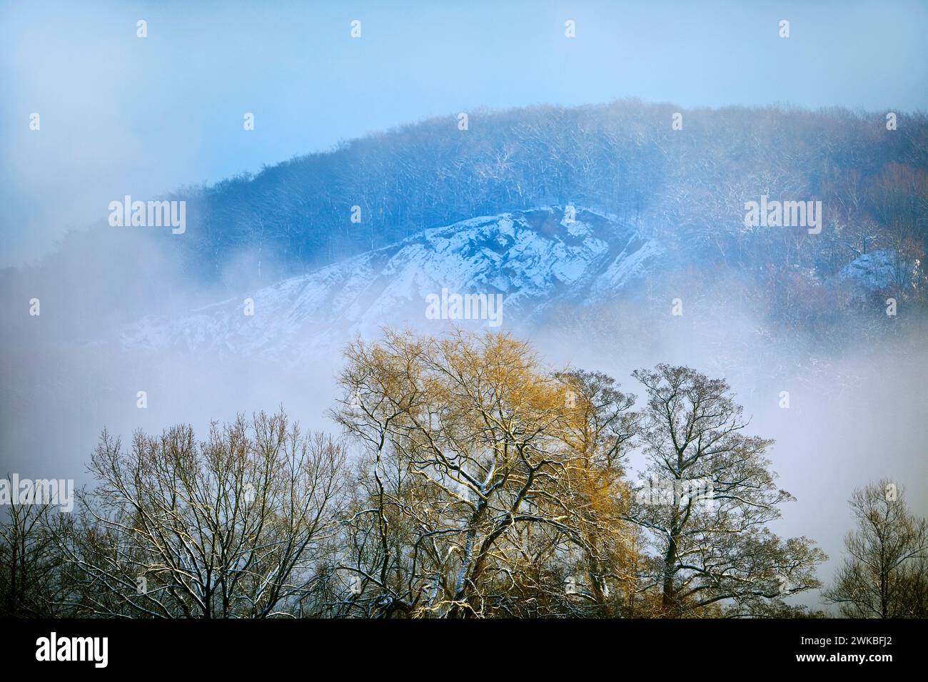 Carrière Wartenberg avec brouillard en hiver, Allemagne, Rhénanie du Nord-Westphalie, région de la Ruhr, Witten Banque D'Images