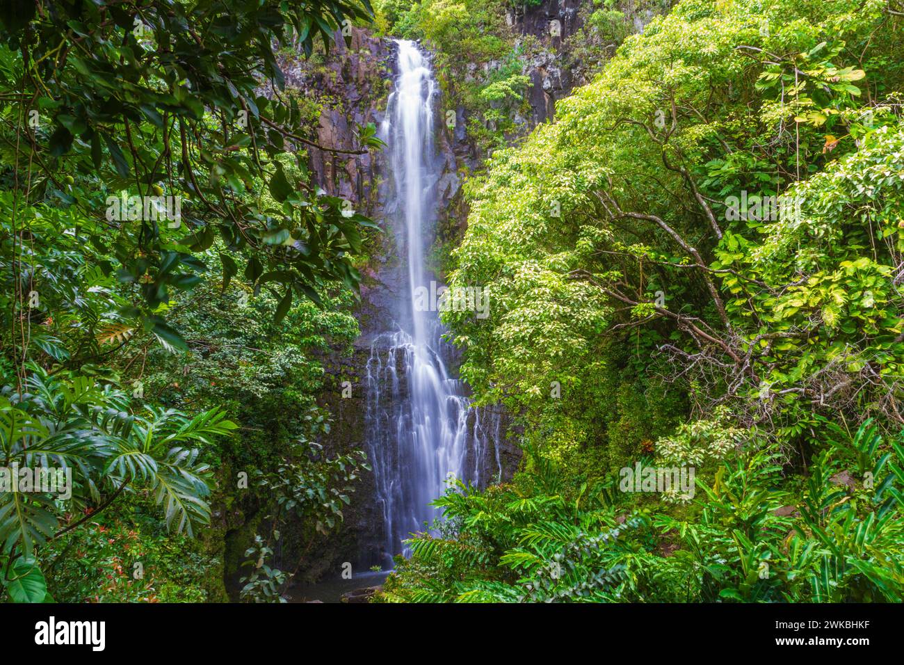 Wailua Falls est 45 juste sur la route de Hana sur l'île de Maui à Hawaii. Banque D'Images