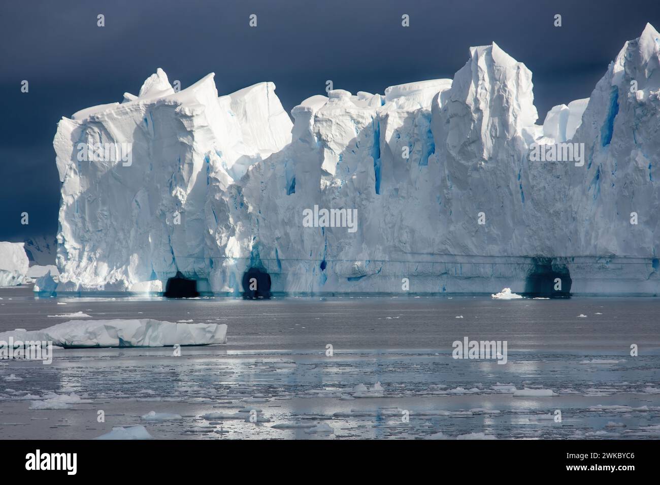 Grand iceberg avec des grottes de glace rompues d'une plate-forme de glace, péninsule Antarctique, Antarctique Banque D'Images