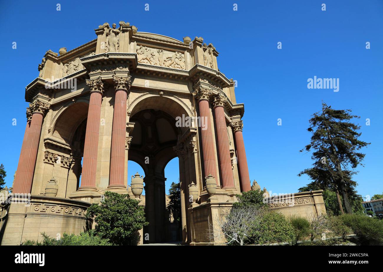 La rotonde et l'arbre - le Palais des Beaux-Arts, San Francisco, Californie Banque D'Images